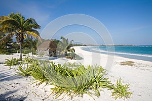 Whie Sand Beach in Mexico