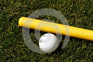 Whiffle ball and bat