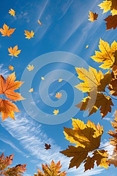 Whimsical Autumn Leaves Flying Across the Blue Sky photo