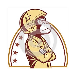 Lightheaded Monkey Engaging in Rocketry