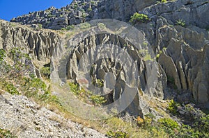 Whimsical relief of a foot of the cliff.