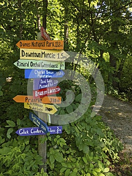 Whimsical Signpost in Lush Park with Directional Signs