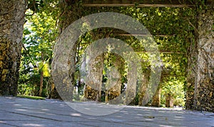 Whimsical Stone Trellis with Twisty Green Vines