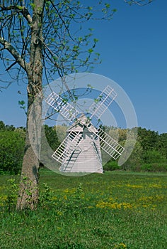 A Brewster Cape Cod windmill is framed in early spring by a tree\'s lacey leaves. photo