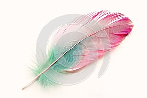 Whimsical Wonders: A Dreamy Palette of Feather Pink and Green, P