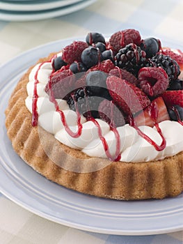 Whipped Cream and Berry Sponge Flan photo