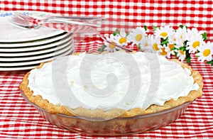 Whipped Cream Pie