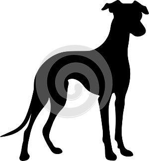 whippet Black Silhouette Generative Ai