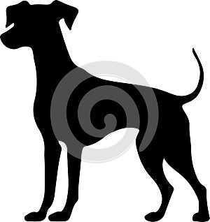 Whippet Black Silhouette Generative Ai