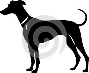 Whippet Black Silhouette Generative Ai