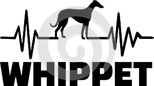 Whippet heartbeat word