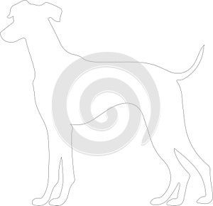 Whippet outline Outline Silhouette Generative Ai