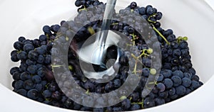 whipping dark blue grapes with a mixer in a barrel, the process of making homemade wine