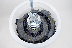 Whipping dark blue grapes with a mixer in a barrel, the process of making homemade wine