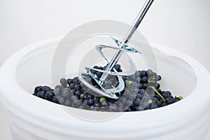 Whipping grapes with a mixer in a barrel, the process of making homemade wine