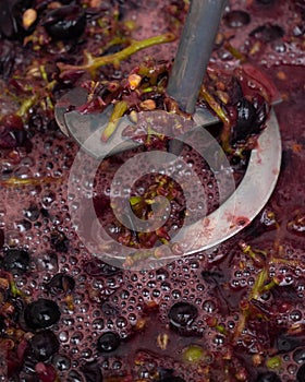 Whipping grapes with a mixer in a barrel, the process of making homemade wine