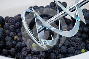 Whipping grapes with a mixer in a barrel, the process of making homemade wine closeup