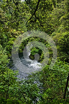 the Whirinaki River flows through a deep gorge, Minginui in Te Urewera, North Island, New Zealand.