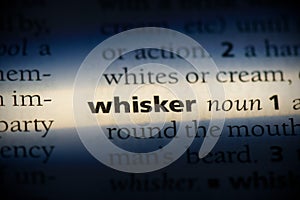 Whisker