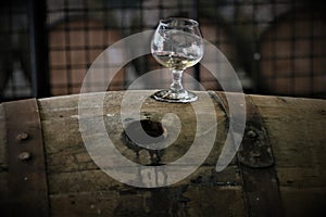 Whiskey taste test of barrel in Kentucky distillery