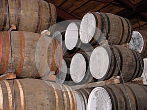 Whisky barrels