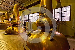 Whisky distillery copper stills