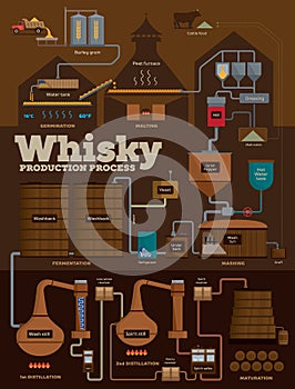 Whisky distillery production process infographics