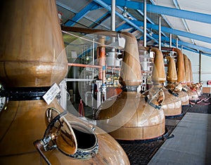 Whisky distillery stills