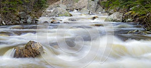 Whispy Water Fish Creek