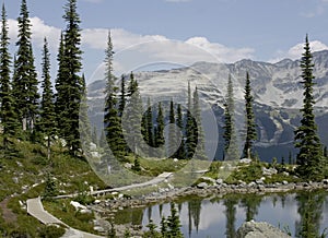 Whistler Mountain British Columbia Canada