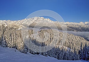 Whistler Mountain ski hill