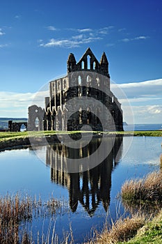 Whitby Abbey