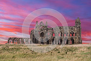 Whitby Abbey Ruins sunset in England