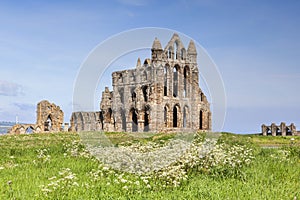 Whitby Abbey Spring