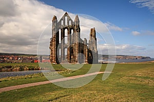 Whitby Abbey View