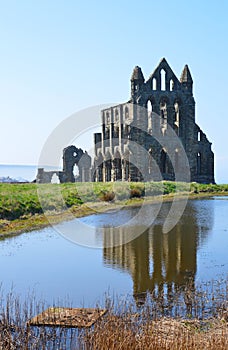 Whitby Abbey