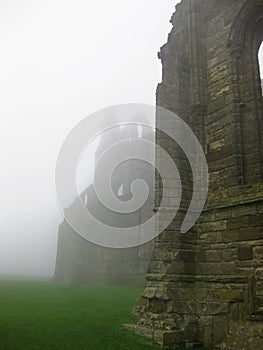 Whitby Abby