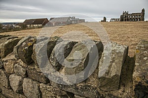 Whitby Abby - stones and meadows.