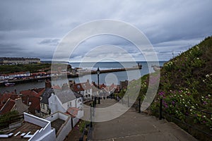 Whitby coast, North Yorkshire, Great Britain