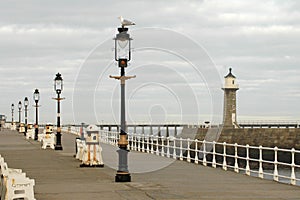 Whitby peer.