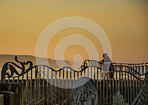 Whitby seascape in Yorkshire England UK