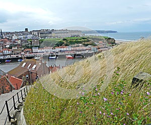 Whitby town and harbour from above