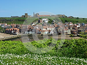 Whitby view