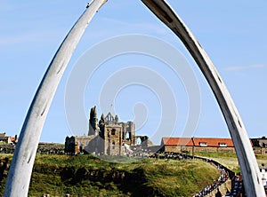Whitby view of abbey