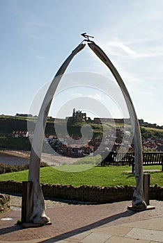 Whitby - Whale Jawbone