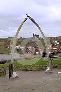 Whitby whalebones