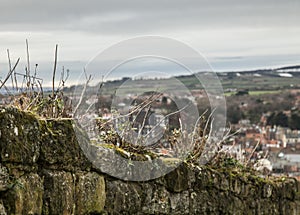 Whitby, Yorkshire, England - a stone fence/wall.