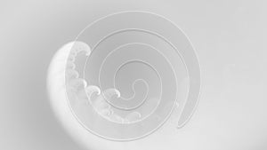 White abstract ethereal wispy smoke tentacles wallpaper background