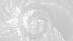 White abstract starfish sea creature wallpaper background photo