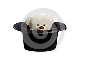 white adorable teddy bear isolated on white background